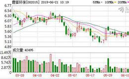 <em>霞客环保</em>聘任彭毅为财务总监 任命多名副总经理