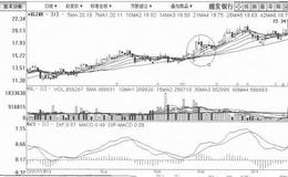 [个股内在基本面的判断分析]浦发银行