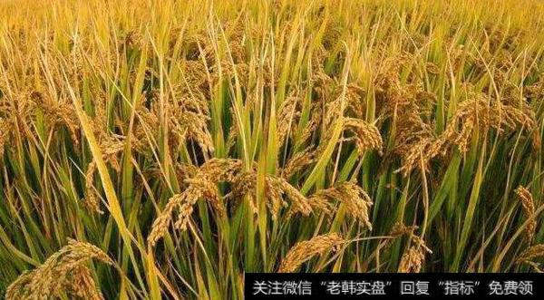 深入实施“优质粮食工程”,优质粮食工程题材<a href='/gainiangu/'>概念股</a>可关注