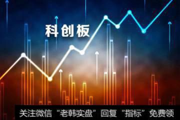 科创板股票周四“打新” 中签率几何