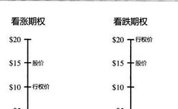 基本期权参数是什么？如何理解基本期权参数？