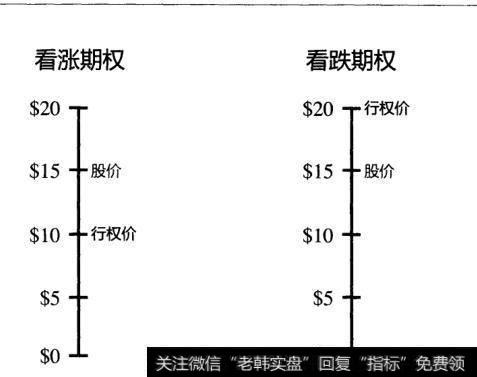 基本期权参数是什么？如何理解基本期权参数？