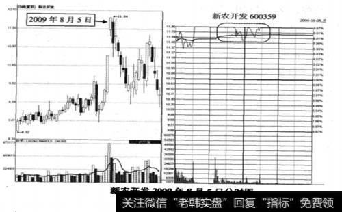 新农开发2009年8月5日分时走势图