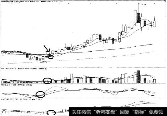 四喜临门猎杀海南椰岛