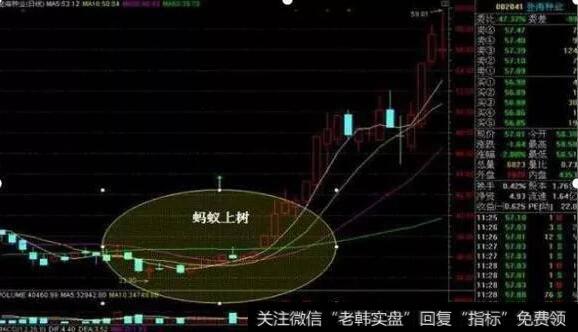 [李正金谈股]面出现“蚂蚁上树”K线，彻底洗盘完毕，一股也别卖出，股价直接“火箭式”飙升至天花板