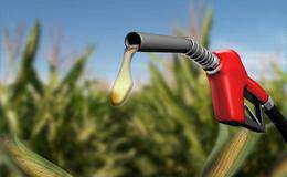 乙醇燃料概念股受关注 乙醇汽油确认全国推广