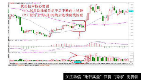 地量洗盘连阴伏击技术