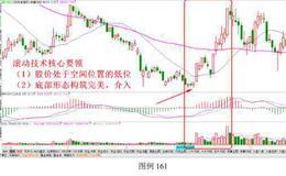 实战案例讲解:在实战操作中学习滚动技法