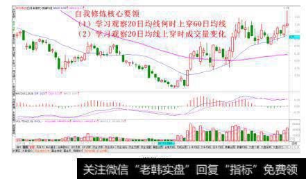 学习观察均线穿越量能变化情况