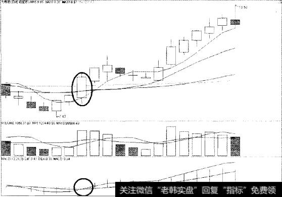 过关斩将猎杀大橡塑