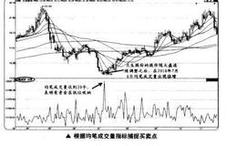 如何根据均笔成交量指标捕捉买卖点？