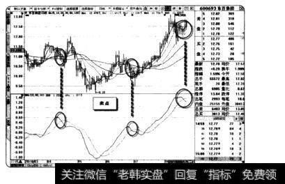 东百集团的卖点