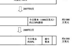 案例分析：京东商城融资与估值倍增？