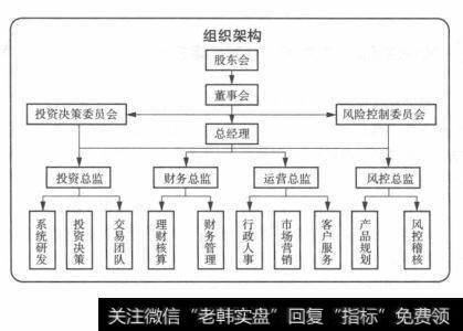 言程序团队组织架构