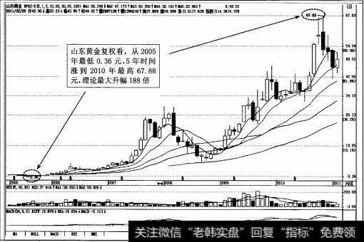 图1-17近5年来最大的大牛股