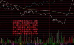 [见诸金融实践]投资者怎样进行风险管理？