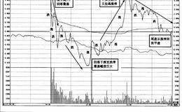 强势股早盘即时图走势特征