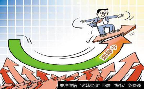 如何理解小盘股的成功记录?小盘股的成功记录有哪些?