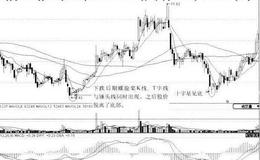 [螺旋桨k线形态案例分析]黑牡丹