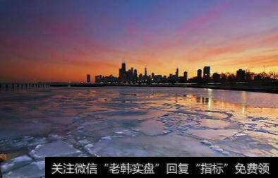 公司种类及股份公司