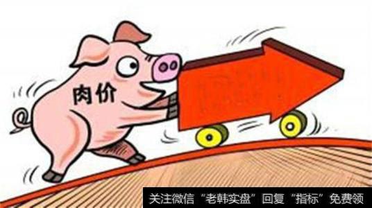 鲜果猪肉领衔 6月CPI同比上涨2.7%
