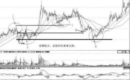 [把握抄底机会案例分析]ST金花