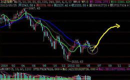 为什么基本业务分析是投资过程的核心步骤之一？