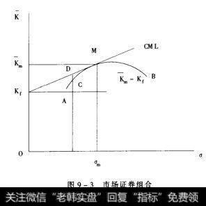 图9-3市场证券组合