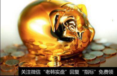 契约型基金与公司型基金