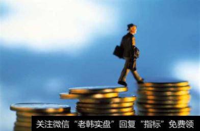 我国资本市场特点