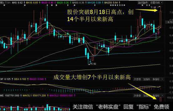 公司基于股票类型的仓位规模是什么样的？