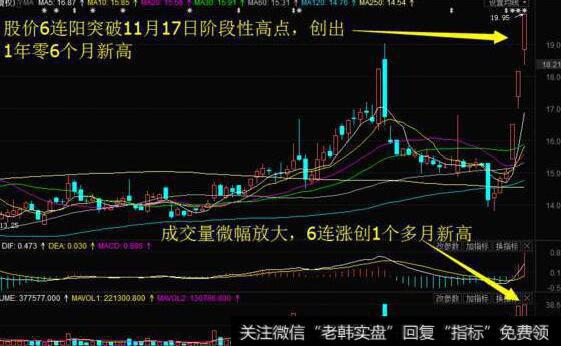 [风险管理中的常见误区]对价格震荡和黑天鹅事件的低估