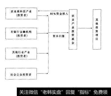 图17-2农业产业基金与其投向