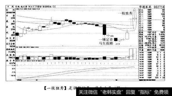 [一枝独秀]是调整信号，清仓出局(图四)