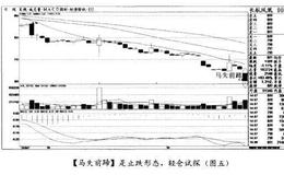 经典案例<em>长航凤凰</em>分析轻仓试探时的基本形态