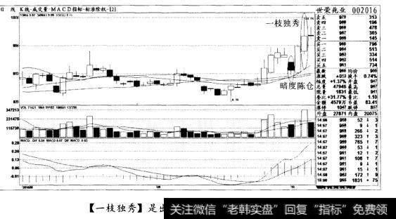 [一枝独秀]是出局形态，获利了结(图八)