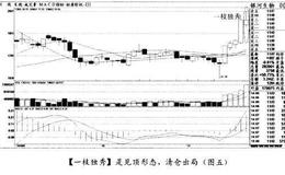 经典案例<em>银河生物</em>分析何时开始半仓跟进？