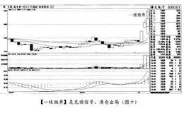 一枝独秀经典案例烽火电子分析股市重仓出击时机