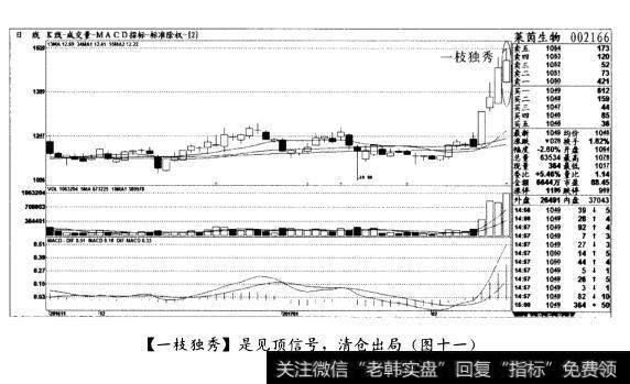 [一枝独秀]是见顶信号，清仓出局(图十一)