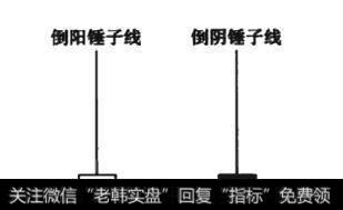 图7-3侧锤子统形态线段图