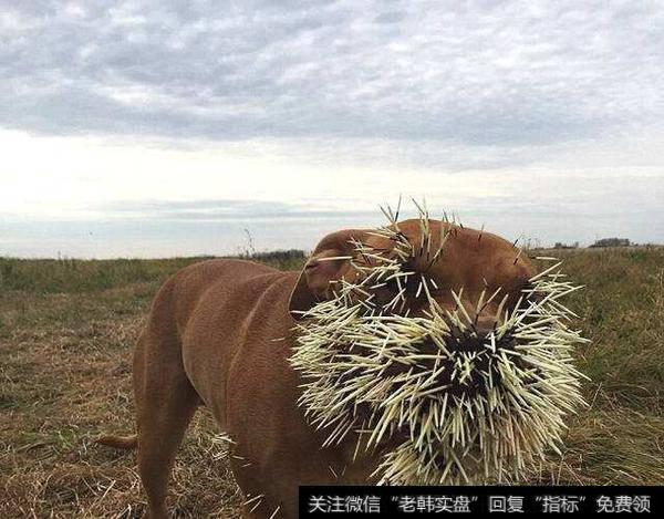 调整确认开始；未来继续阴跌