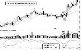 弱市中利用MSD指标捕捉强势股启动点的技术要点和看图分析精要