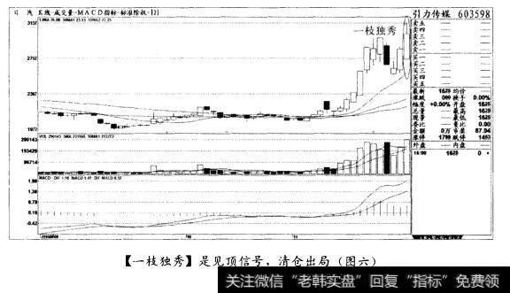 [一枝独秀]是见顶信号，清仓出局(图六)