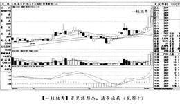 经典案例大庆华科分析股市的加仓与进仓时机