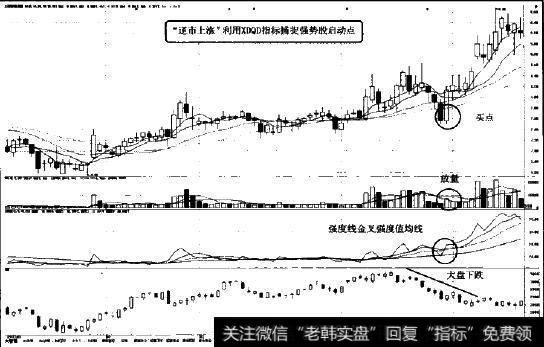 上海新梅(600732)个股图示