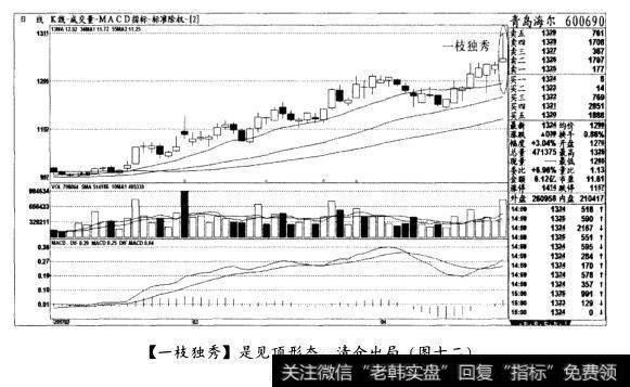 [一枝独秀]是见顶形态，清仓出局(图十二)