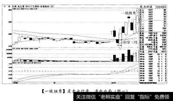 [一枝独秀]是卖出信号，清仓出局(图一)