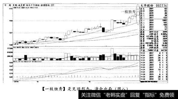 [一枝独秀]是见顶形态，清仓出局(图八)