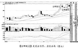 经典案例<em>新海宜</em>分析满仓与空仓时机