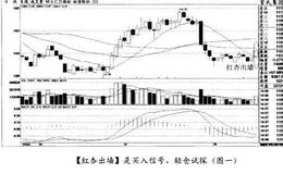 经典案例皇氏集团分析分段计息时机